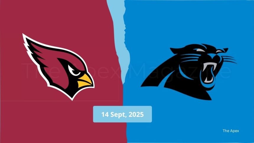 Carolina Panthers vs Arizona Cardinals Match Player Stats